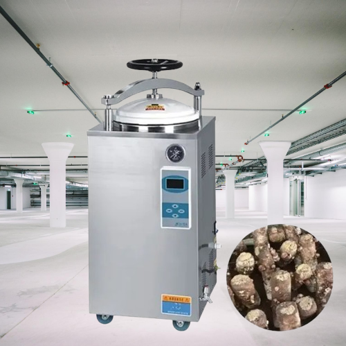 Advanced Sterilization System for Medical Equipment Safety and Efficacy