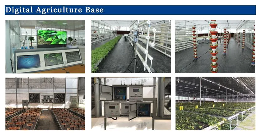 Production Line