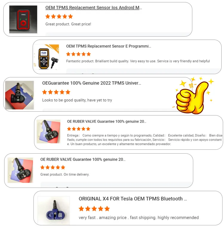 TPMS Sensor 10
