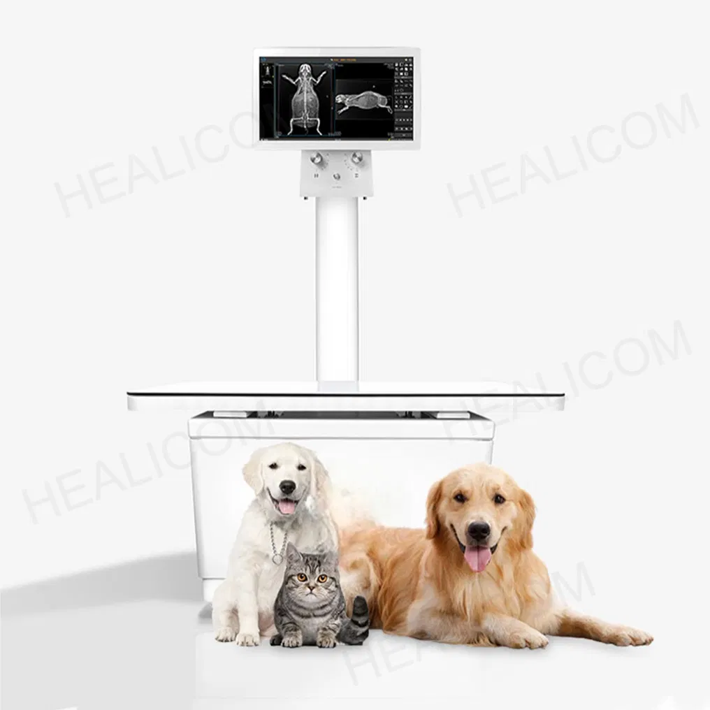 32kw Veterinary Fluoroscopy Dynamic Digital Radiography (DR) System for Pet Clinics