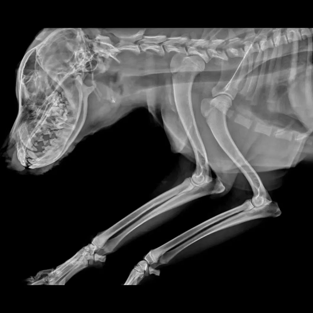 Advanced Imaging X-ray System