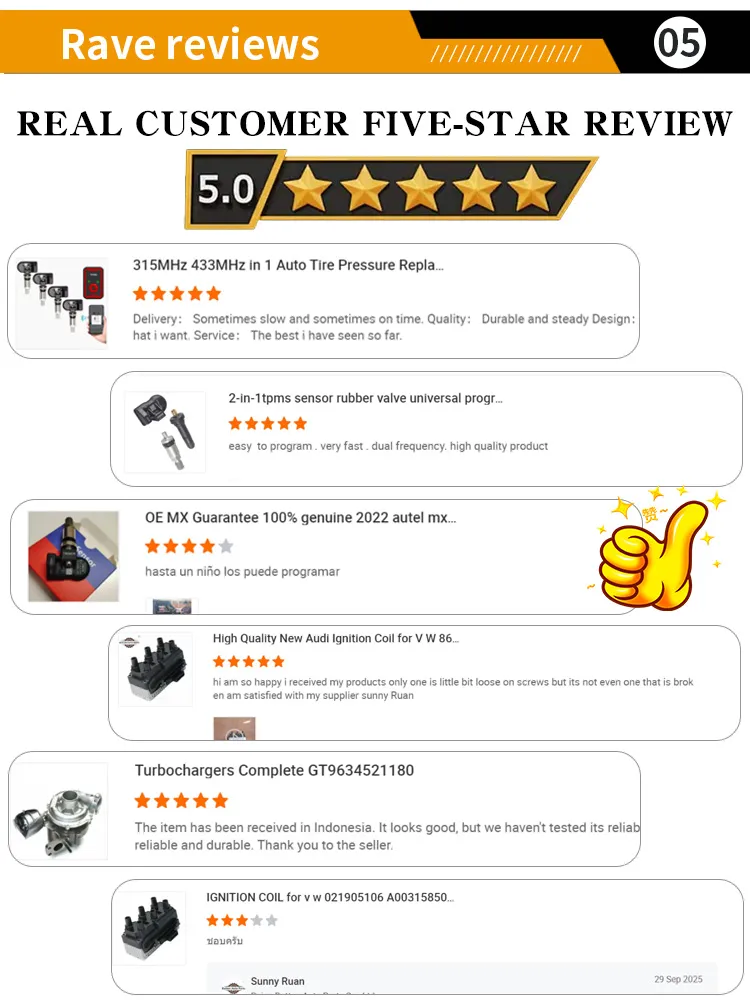 TPMS Sensor 9