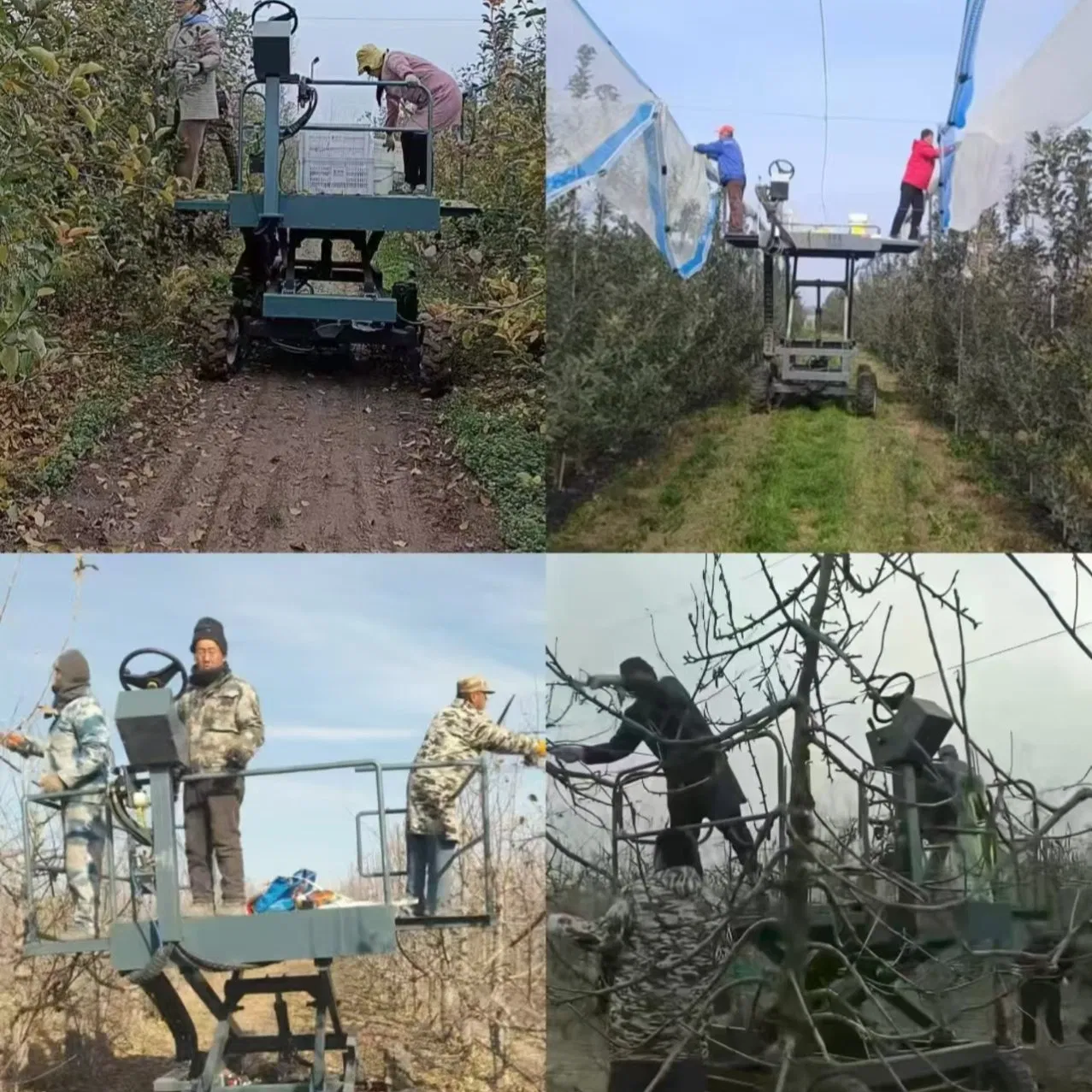 Self-Propelled Orchard Platform - Technology Empowers Precision Farming