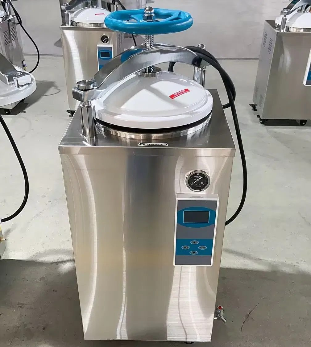 Advanced Sterilization System for Medical Equipment Safety and Efficacy