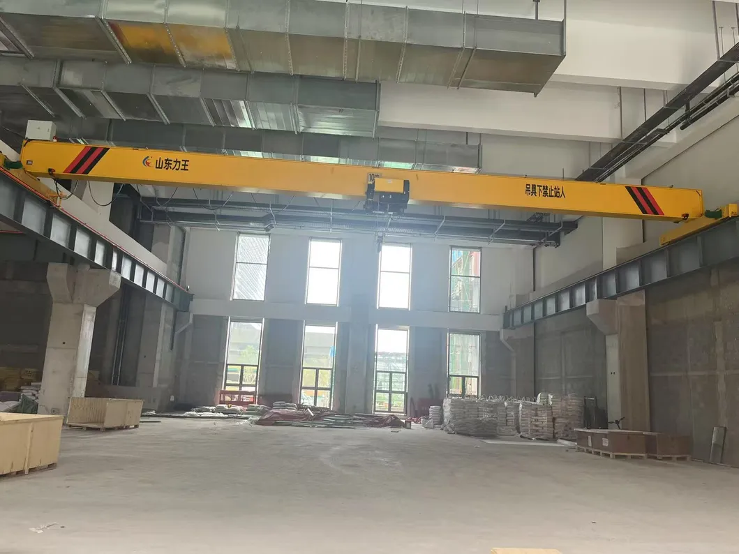 Electric Single Beam Crane 5