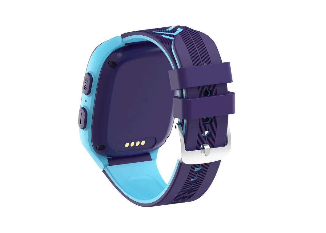 GPS Watch Feature Display