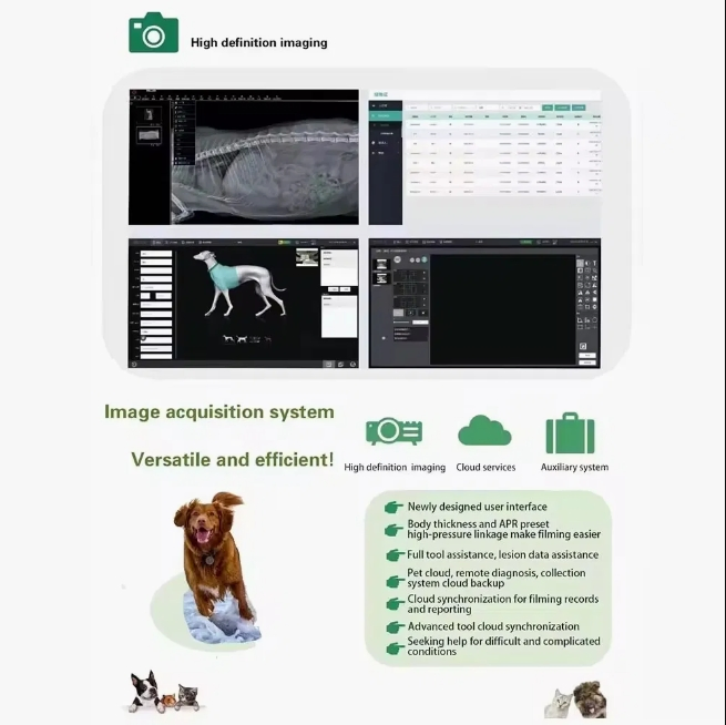 Reliable Advanced Imaging X-ray System for Enhanced Patient Care Digital X-ray Machine