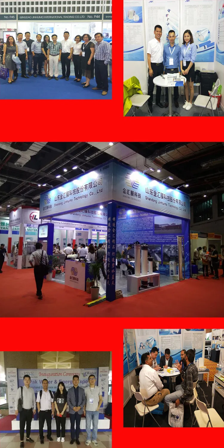 Global Exhibition Record