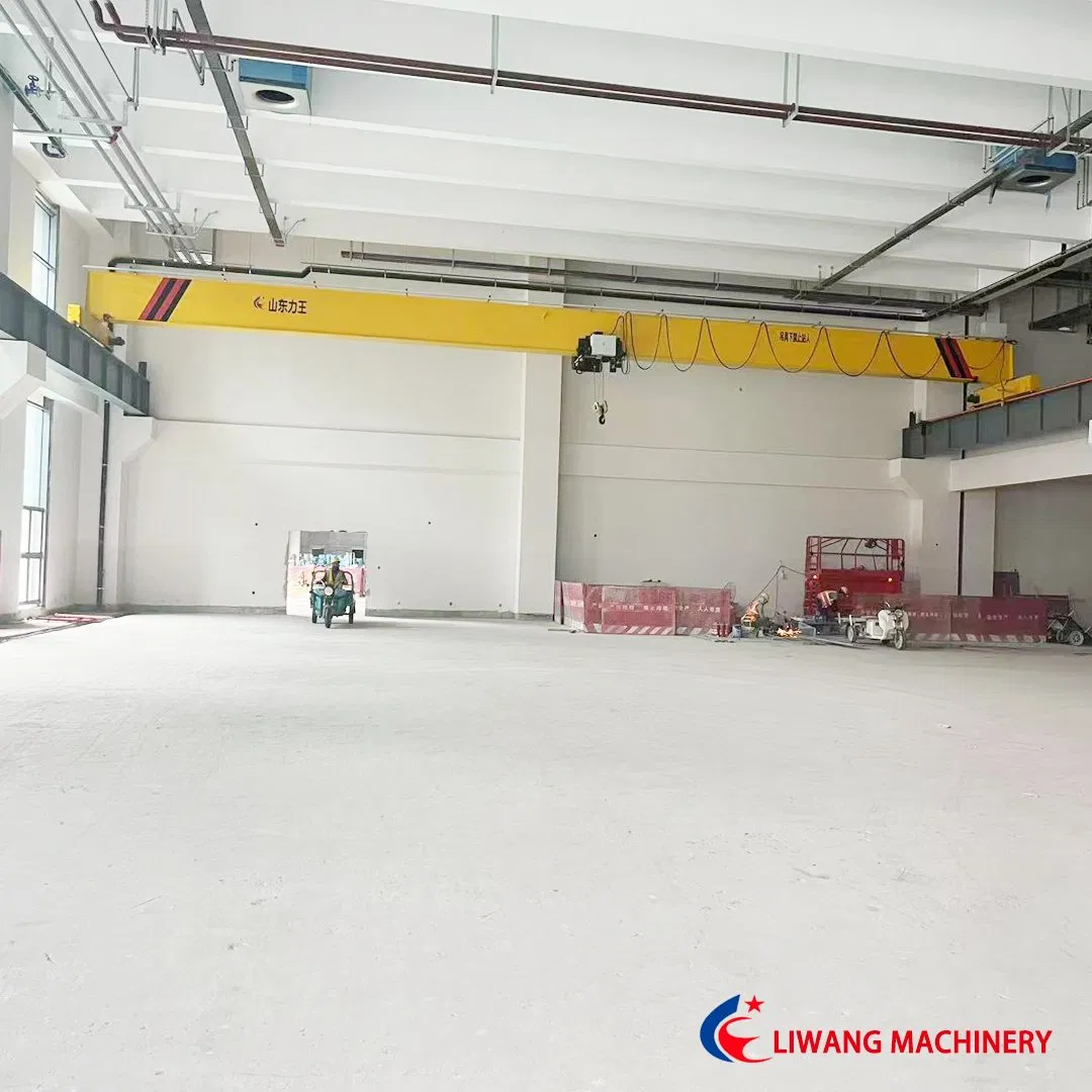 Digital Twin Ldt European Electric Single Beam Crane with Virtual Simulation Technology Best Price