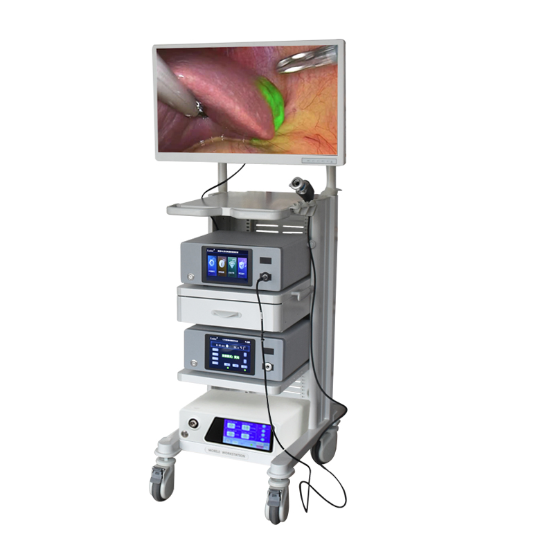 High Definition 4K Laparoscopic Platform Equipped with Nir Icg Fluorescence Imaging Technology