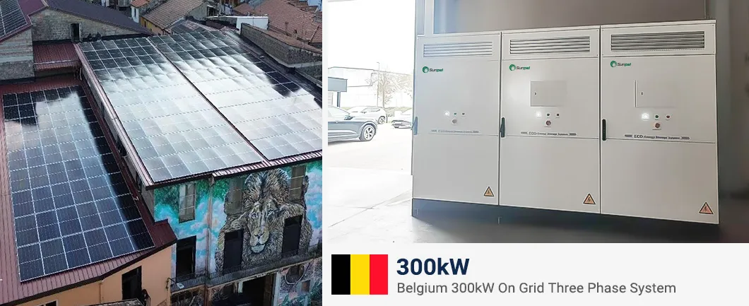 Belgium Project