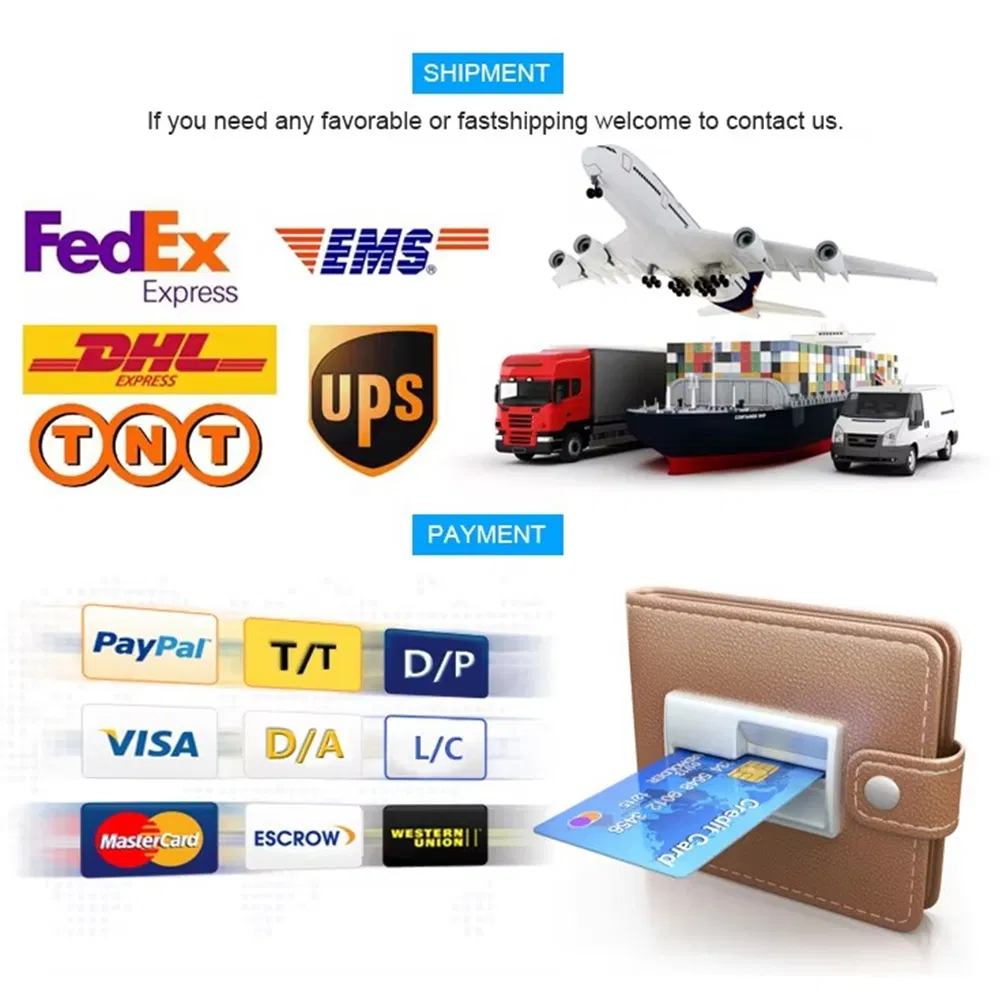 Shipping Logistics