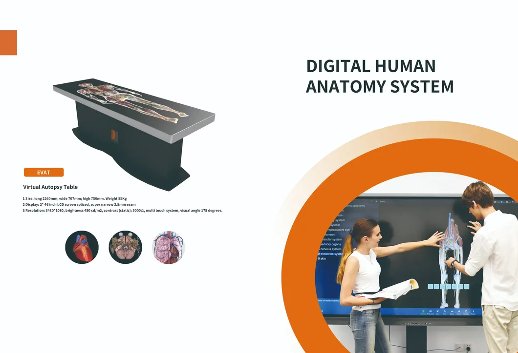 Digital Human Anatomy System Main View