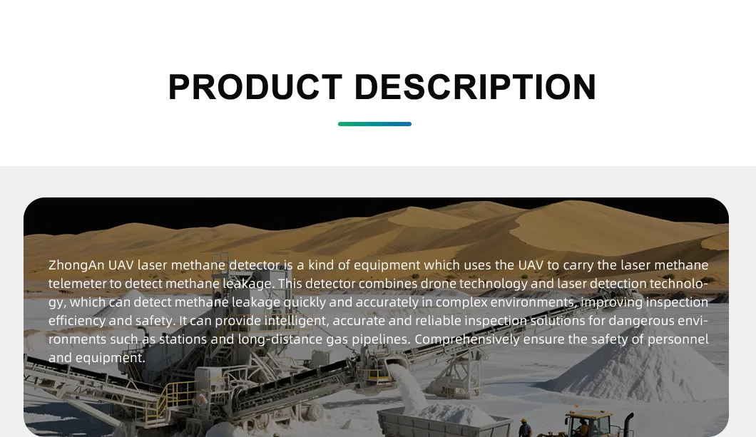 Detection Monitoring System