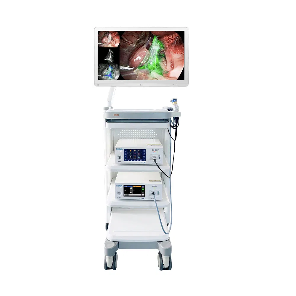 4K HD Digital Imaging Integrated Endoscopy Tower System