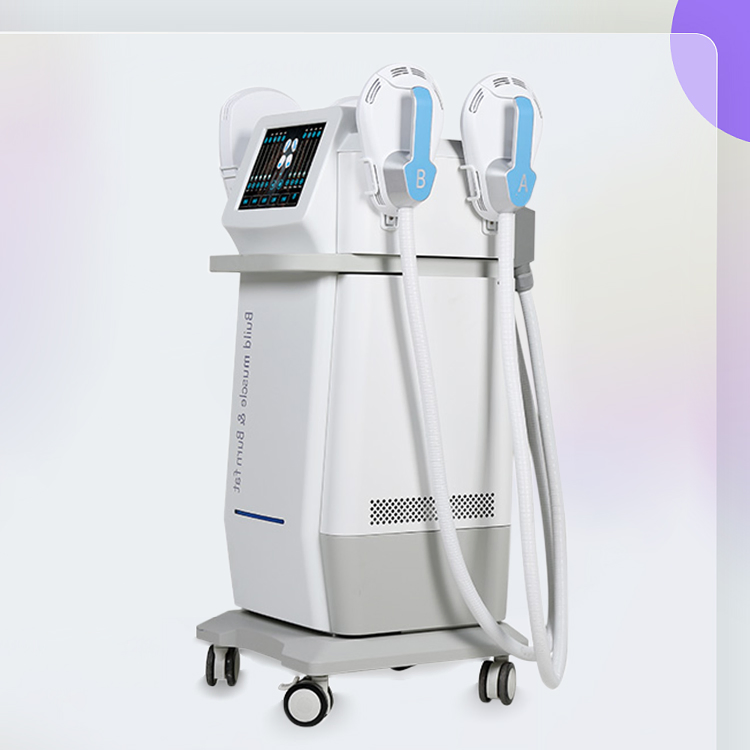 2/4 Handles EMS Body Sculpting Slimming Machine with RF Function