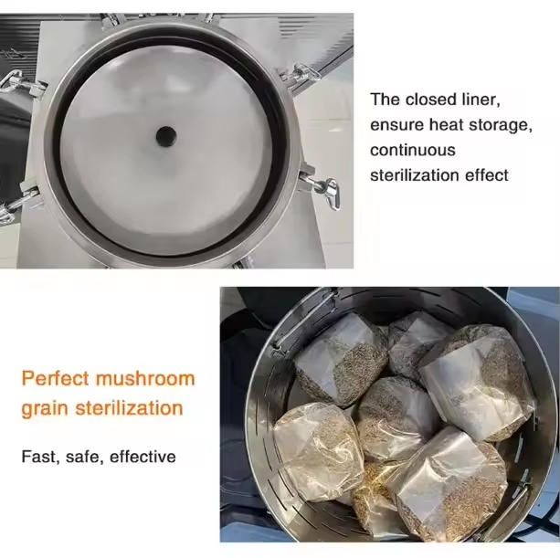 Advanced Clinical Sterilization System for Enhanced Medical Equipment Care