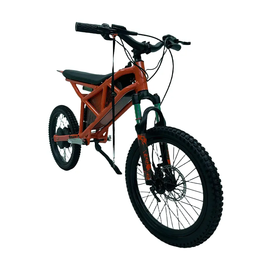 CE Certification 750W 48V Electric Mini Motorcycle For Kids Manufacturers, Factories