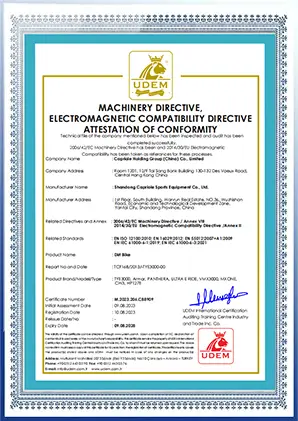 TYE brand official certification and patent document page 7