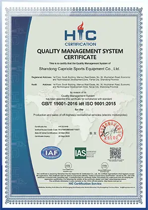 TYE brand quality certificate document page 2