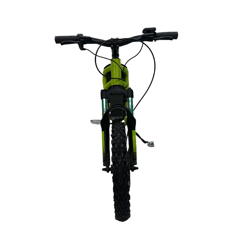 China Electric Kids Mini Bike 500W 48V Factory, Product