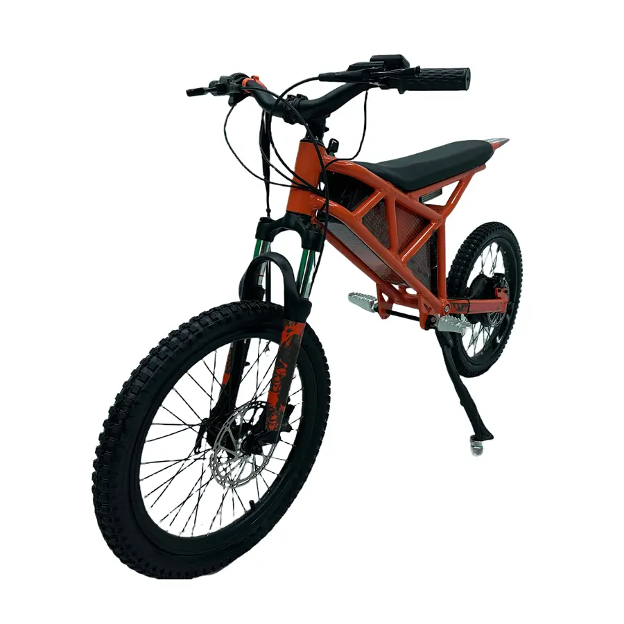 CE Certification 750W 48V Electric Mini Motorcycle For Kids Manufacturers, Factories