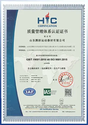 Capriole Sports official certification document page 1