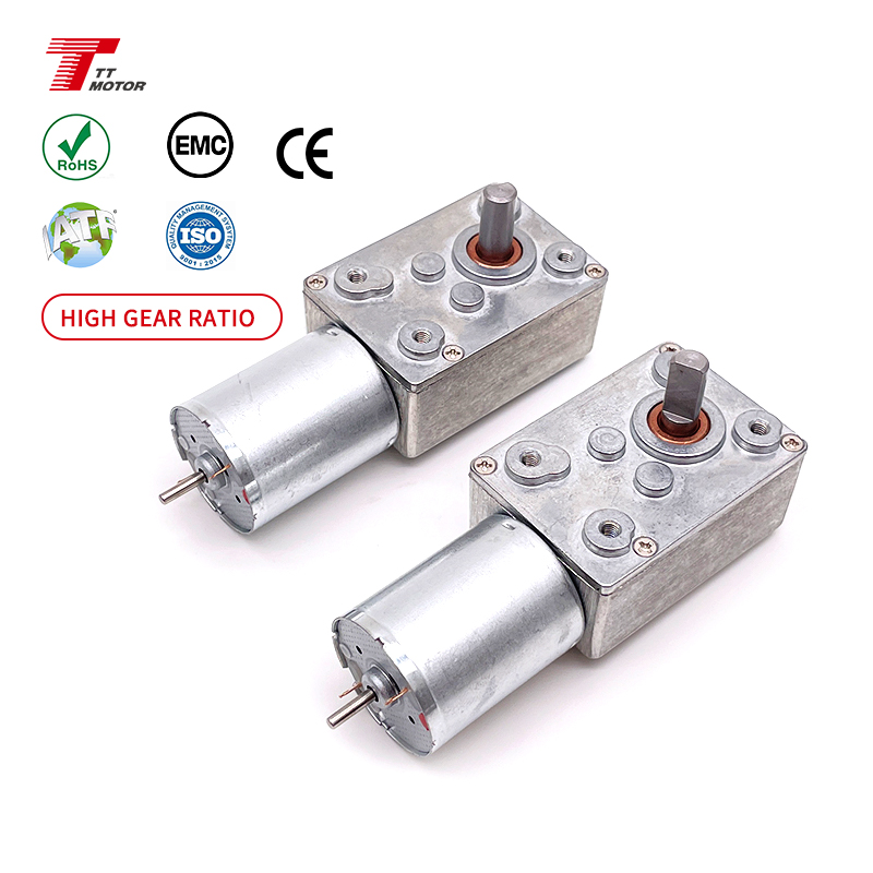 12v Dc Worm Gear Motor Encoder 6rpm 24v Magnet Gear Motor for Curtain With Electric High Torque