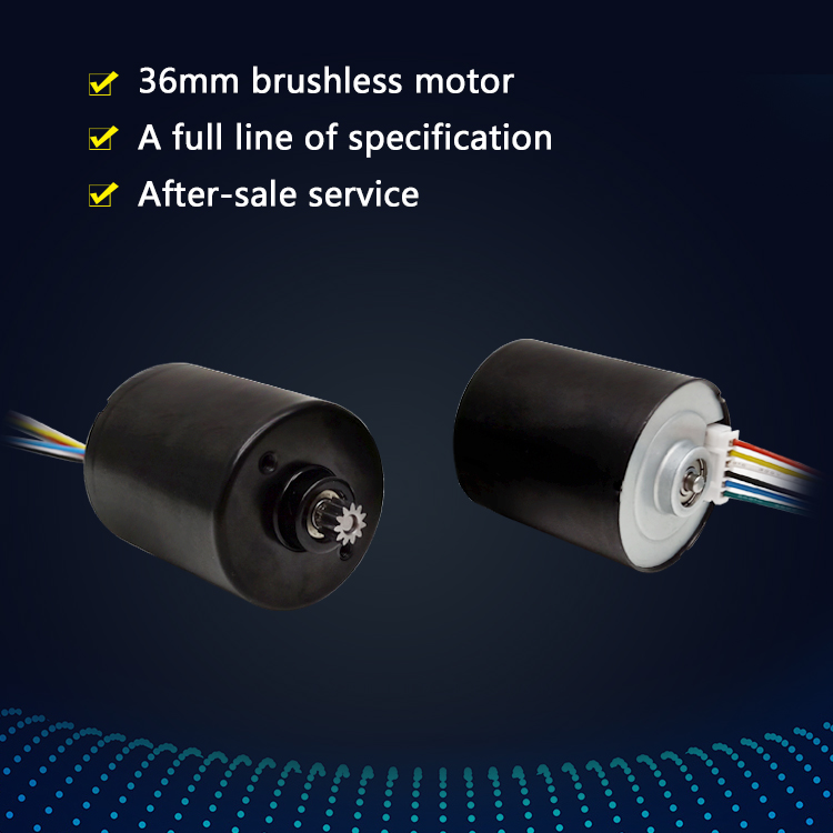 High Rpm Dc Bldc Motor Electric 36mm Diameter BL3625 BL3626 Low Noise 24v Brushless Motor