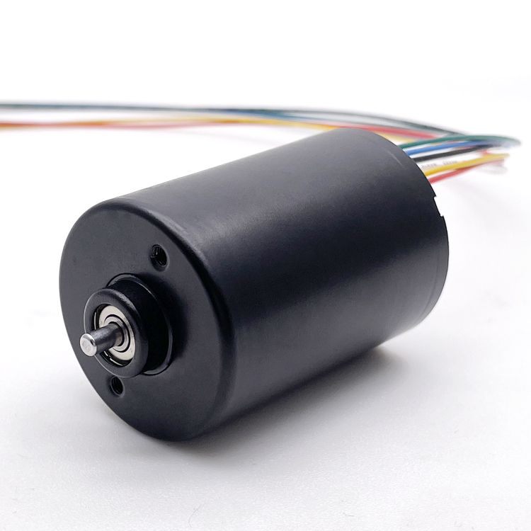 12 Volt Micro Brushless Dc Motor BL3650 24 Volt High Power High Speed BLDC Motor