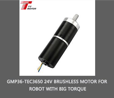 High Torque Low Rpm 12v 24v Brushless Dc Gear Motor