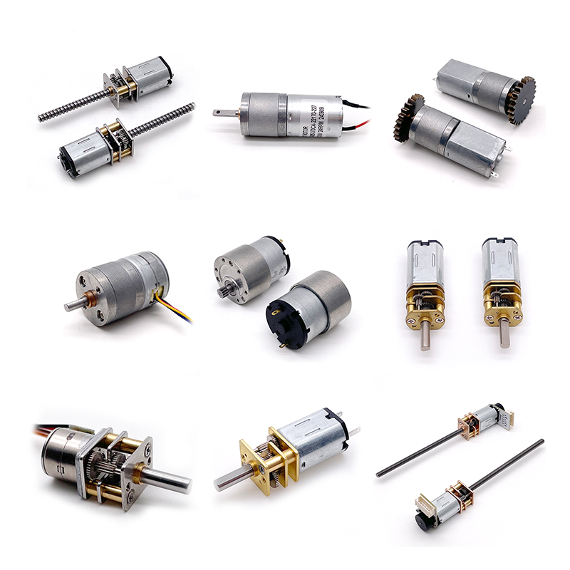 China Supplier TT 6v 12v 24v Worm Planetary Bldc Brushless Brushed Electric Dc Gear Motor With Optional Encoder