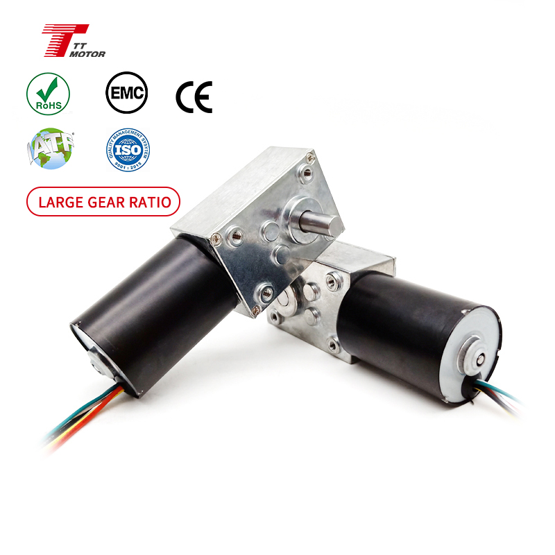 TT Motor Dc Worm Gear Motor 4058 12v 24v Electric Dc Brushless Motor TEC3650 for Automation Equipment