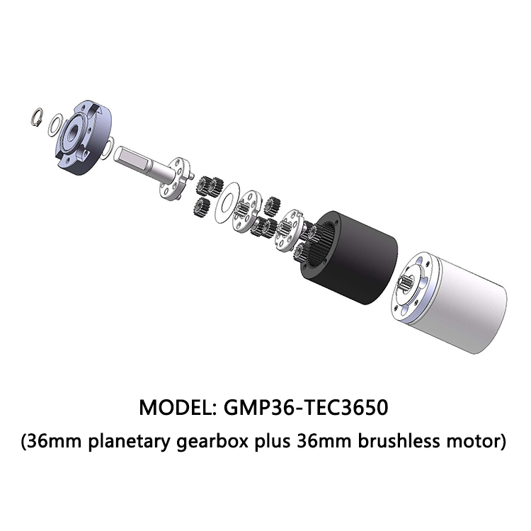 Micro Brushless Gear Motor 12 Volt 24v 36mm Planetary Gearbox Reducer BLDC 3650 DC Motor