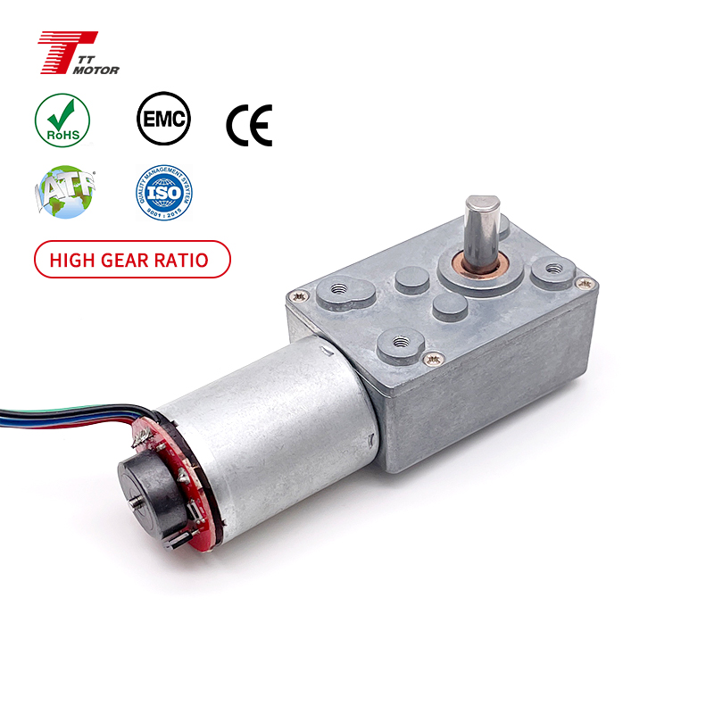 High Torque Low Rpm Small Micro Electric Worm Gearbox Motor Drive 6v 12v 24v 370 Brushless Bldc Worm Gear Dc Motor