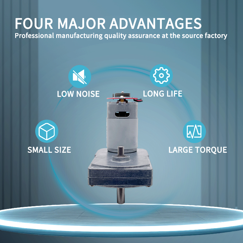 TT Motor 12v 24v High Torque Permanent Magnet Micro Small Dc Worm Gear Motor with Encoder