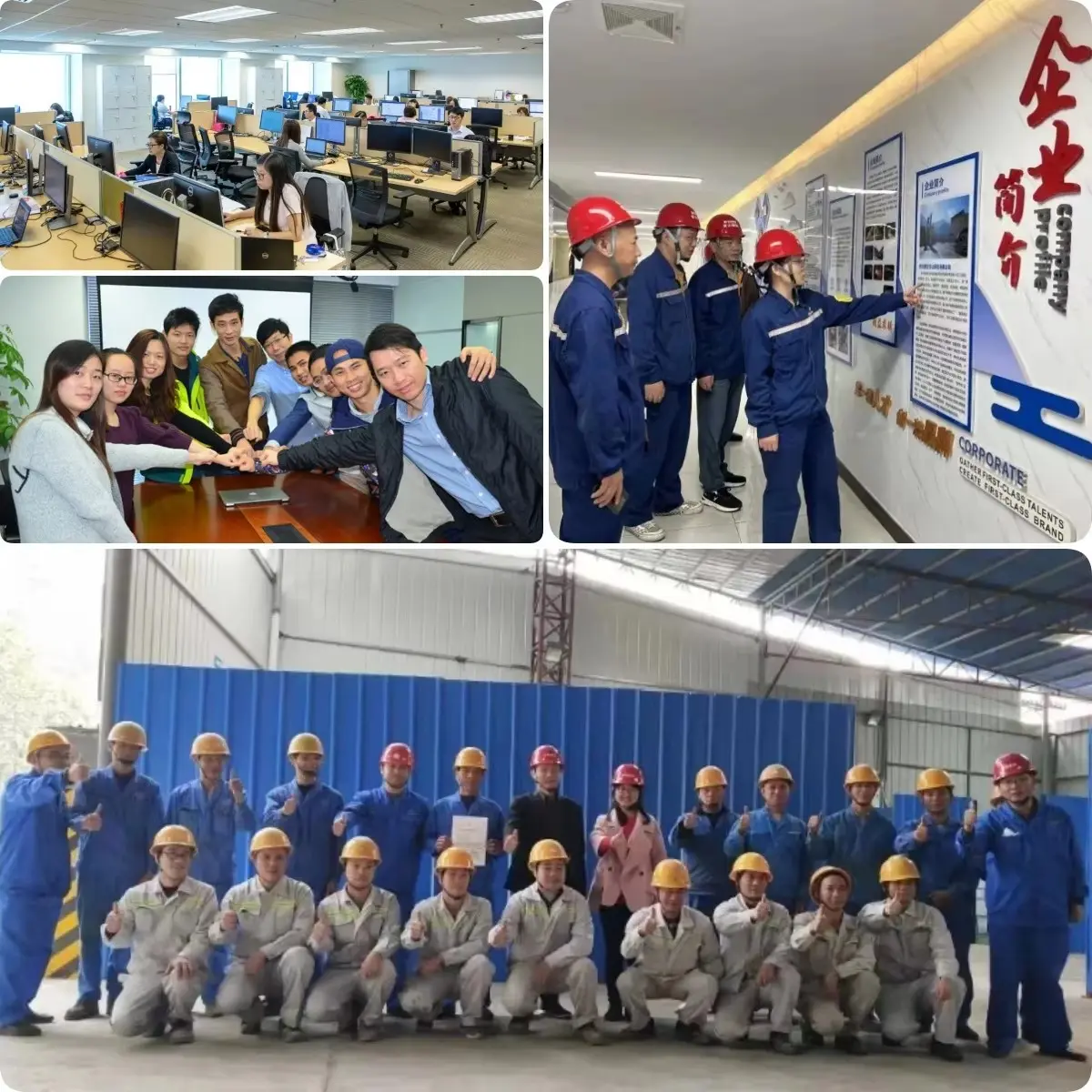 Our professional team