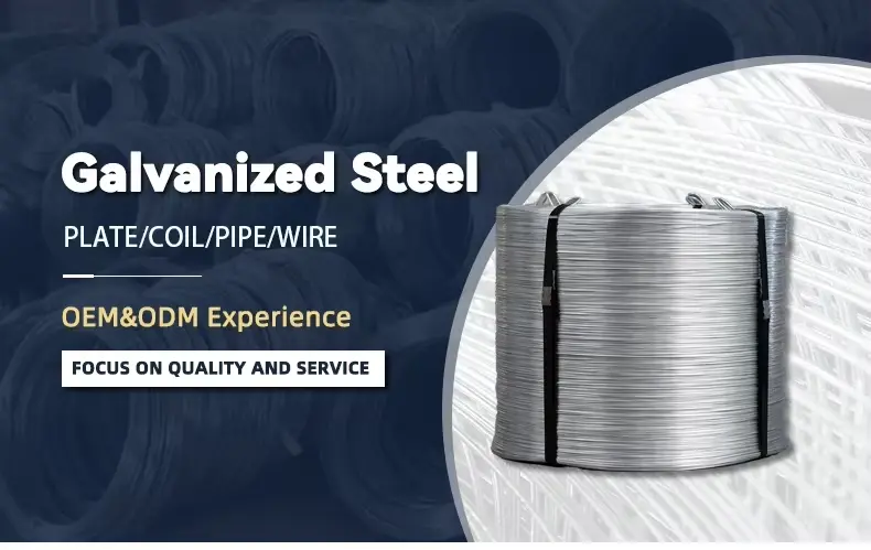 Galvanized steel wire detail 1