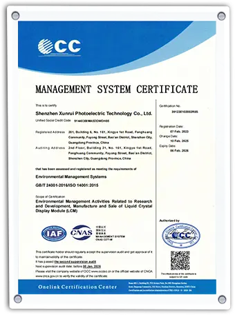 XUNRUI certificate 2