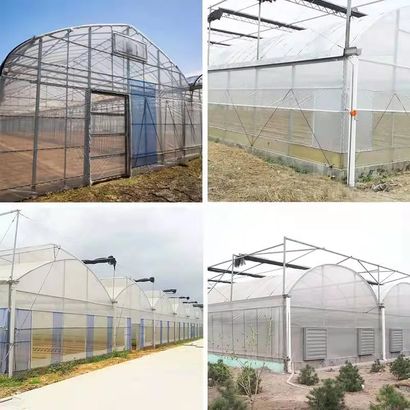 Arch greenhouse