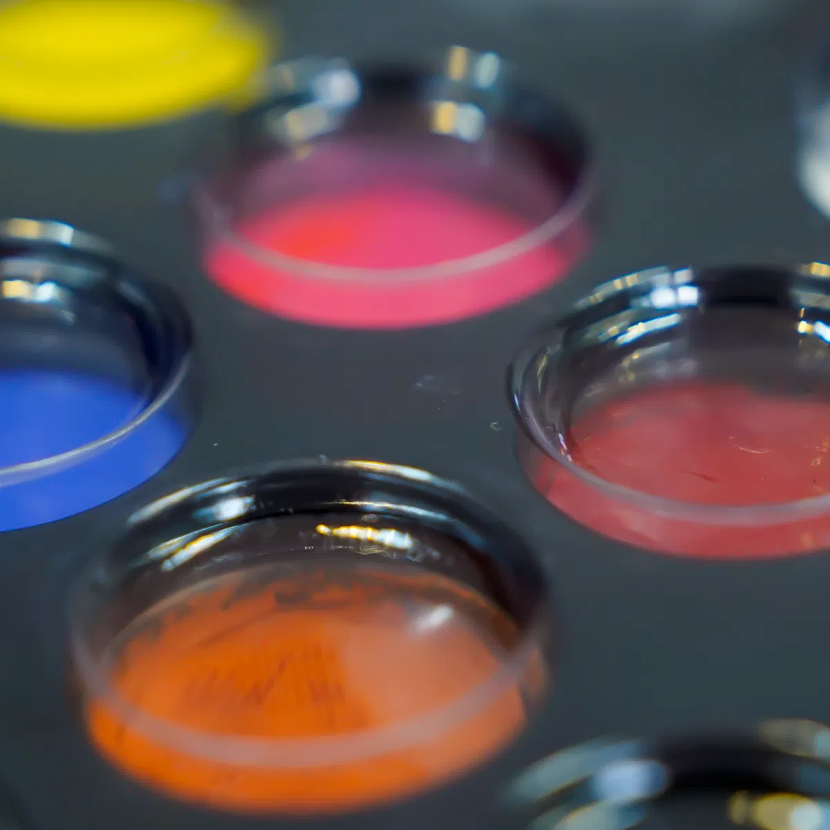 Vibrant Water-Based Face Paint Palette for Kids' Creative Makeup