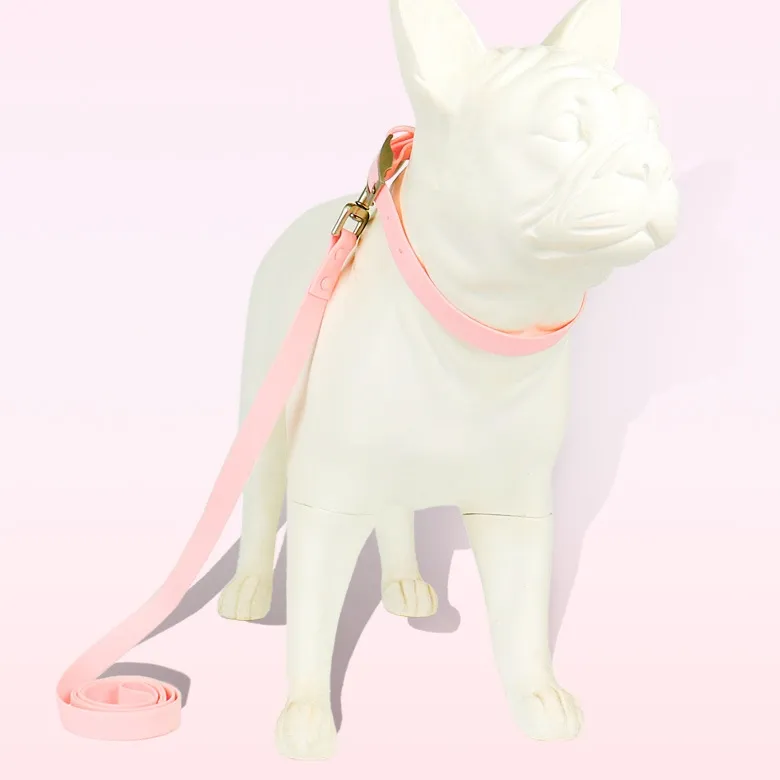 Dog Collar