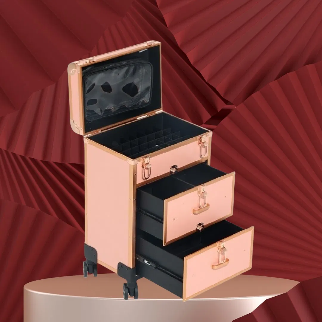 Beauty Product Makeup Organiser Box Bag Hairdressing Nail Art Salon Beauty Cosmetic Trolley