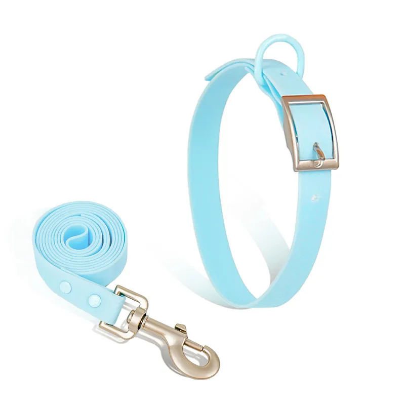 Colorful Leash