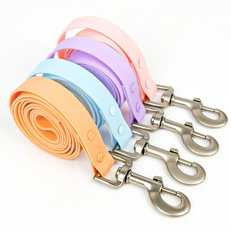 Pet Accessories