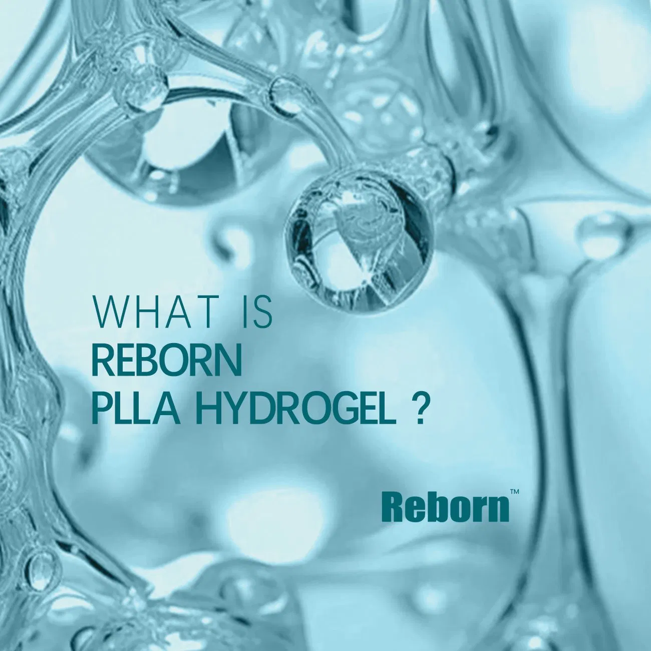 Reborn Wholesale Non-Surgical Aesthetics Mesotherapy Solution Liquid Plla Injectable Hydrogel Dermal Filler Skin Booster for Skin Whitening and Moisturizing