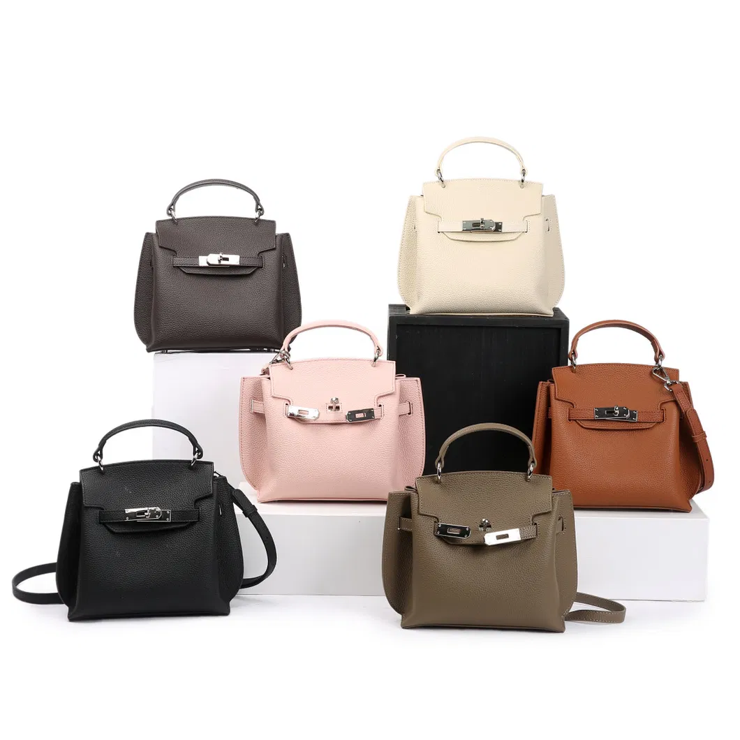 Handbag 1