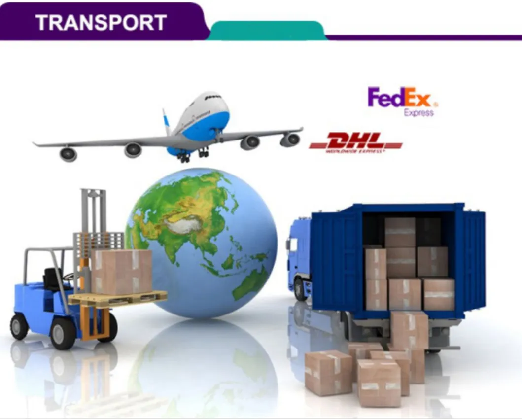 Global Transportation