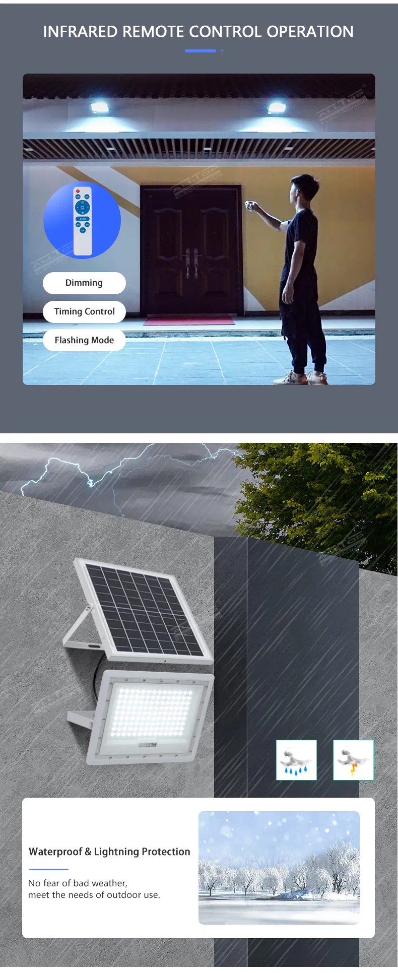 Solar Flood Light Detail