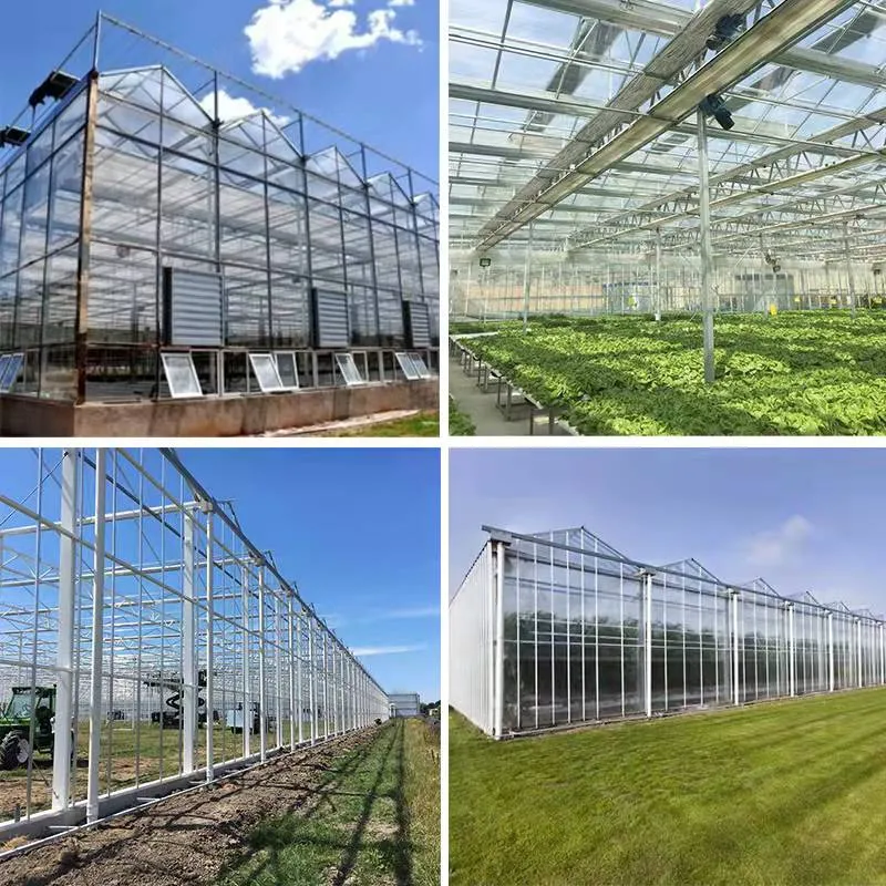 Venlo type greenhouse